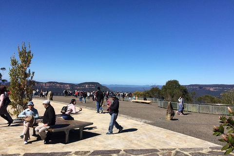 PRIVATE All-Day Blue Mountains Tour With Professional Guide For Up To 4 People - Rental Cars 5