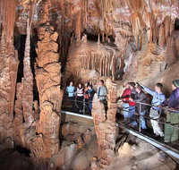 Private Tour Jenolan Caves  Blue Mountains in a day - Rental Cars