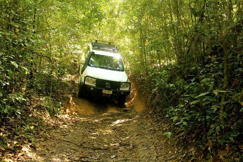 Barron Gorge And Kuranda National Park Half Day Rainforest And Waterfall 4WD Tour From Cairns - Rental Cars 2
