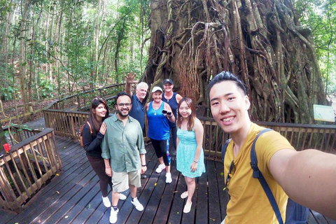 Barron Gorge And Kuranda National Park Half Day Rainforest And Waterfall 4WD Tour From Cairns - Rental Cars 5