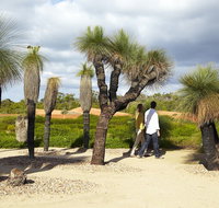 1 Day Exclusively Private Tour Of Phillip Island  The Penguin Parade - Rental Cars