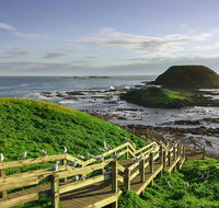Full-Day Private Australian Wildlife Tour of Phillip Island - Rental Cars