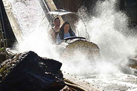 Theme Park Transfer From Brisbane - Rental Cars 1
