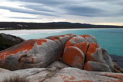 3-Day Bay Of Fires Photography Workshop From Hobart - Rental Cars 0