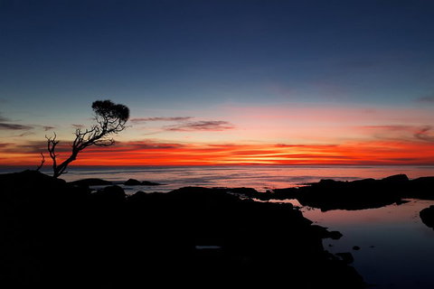 3-Day Bay Of Fires Photography Workshop From Hobart - Rental Cars 1