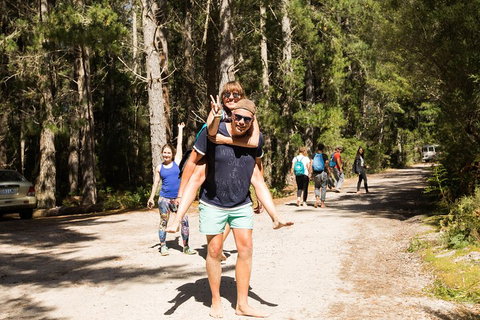 7-Day Best Of Tasmania Adventure Experience From Hobart (flexible Ticket) - Rental Cars 5