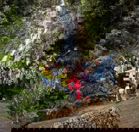 5-Day Lap of Tasmania Tour from Hobart flexible ticket - Rental Cars