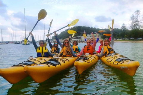 Half-Day Sydney Middle Harbour Guided Kayaking Eco Tour - Rental Cars 2