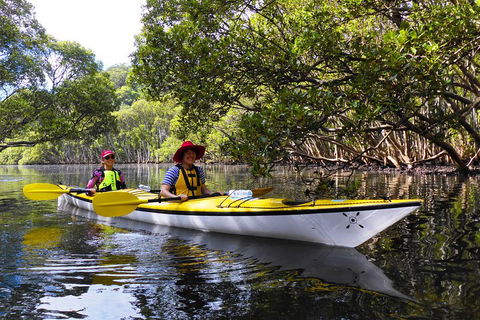 Half-Day Sydney Middle Harbour Guided Kayaking Eco Tour - Rental Cars 3
