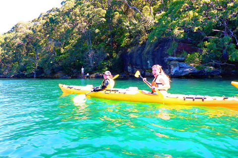 Half-Day Sydney Middle Harbour Guided Kayaking Eco Tour - Rental Cars 4