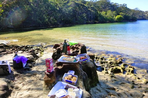 Half-Day Sydney Middle Harbour Guided Kayaking Eco Tour - Rental Cars 5