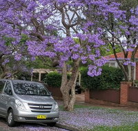 Sydney Secrets  Bondi Beach Private 4 Hr Morning with Personalised Sydney Tours - Rental Cars