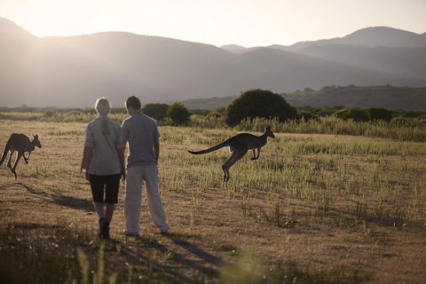 Overnight Daylesford And Macedon Ranges Gourmet Food Trail Tour From Melbourne - Rental Cars 1