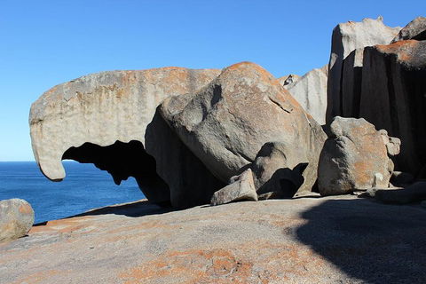 Kangaroo Island Personal Group Tours - Rental Cars 2