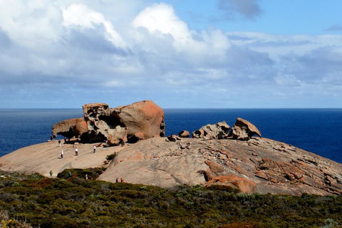 Kangaroo Island Personal Group Tours - Rental Cars 5