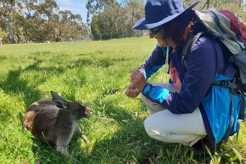 Mount Lofty Hike And Cleland Wildlife Park Day Trip From Adelaide - Rental Cars 1