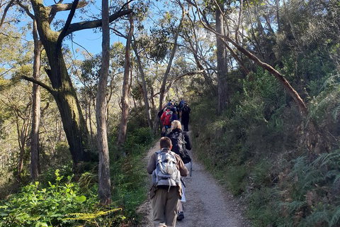 Mount Lofty Hike And Cleland Wildlife Park Day Trip From Adelaide - Rental Cars 3