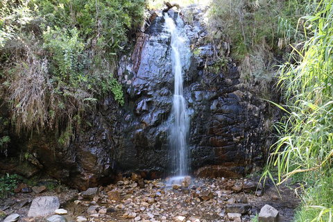 Mount Lofty Hike And Cleland Wildlife Park Day Trip From Adelaide - Rental Cars 4