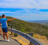Private Tour Mornington Peninsula Family Maze and Fun - Rental Cars