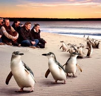 Private Tour Penguin Parade Phillip Island Tour. - Rental Cars