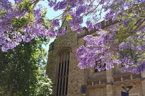 Cultural Caper Adelaide Walking Tour - Rental Cars 1