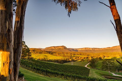 Taste Of The Blue Mountains - Lunch & Wine Tasting, Beer, Cider & Gin Tasting - Rental Cars 1