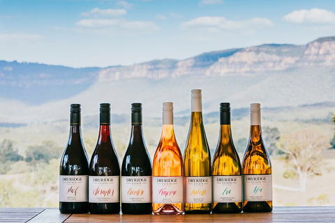 Taste Of The Blue Mountains - Lunch & Wine Tasting, Beer, Cider & Gin Tasting - Rental Cars 3