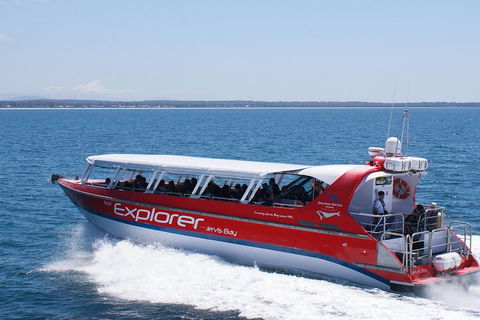 Whale Watching Jervis Bay - Rental Cars 1