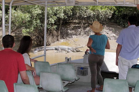 Whitsunday Crocodile Safari Including Lunch - Rental Cars 4