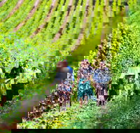 Tasmanian Wine Tour - Rental Cars