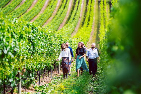 Tasmanian Wine Tour - Rental Cars 0