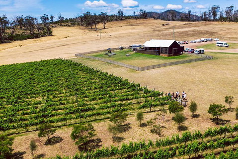 Tasmanian Wine Tour - Rental Cars 3