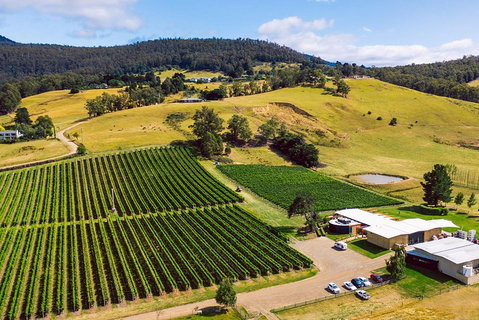 Tasmanian Wine Tour - Rental Cars 4