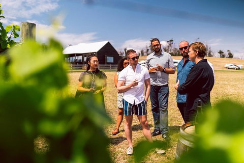 Tasmanian Wine Tour - Rental Cars 5