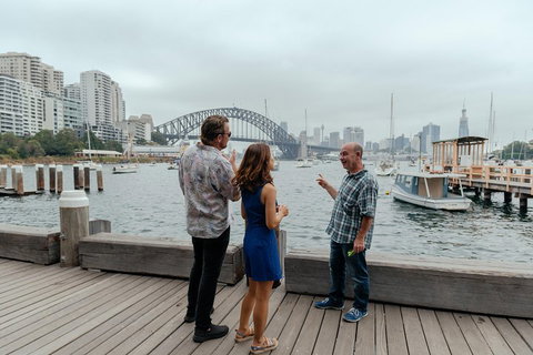 Full Coverage Sydney Private City Tour - Rental Cars 2