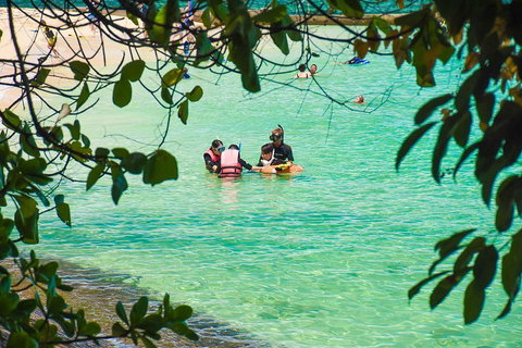 Green Island Day Trip From Cairns - Rental Cars 2