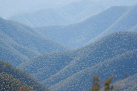 From The Mountains To The Bay - 4 Day Rediscovery Private Tour - Rental Cars 1