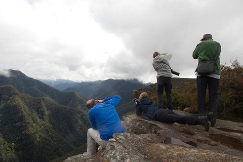 From The Mountains To The Bay - 4 Day Rediscovery Private Tour - Rental Cars 4