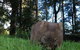 From The Mountains To The Bay - 4 Day Rediscovery Private Tour - thumb 5