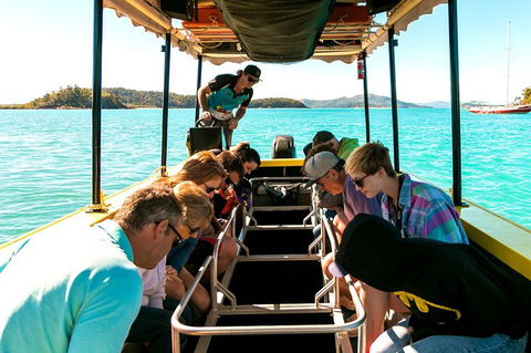 Airlie Beach Glass Bottom Boat Tour - Rental Cars 1
