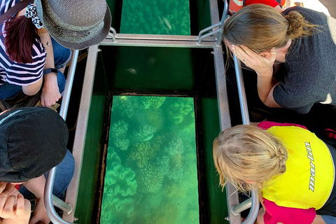 Airlie Beach Glass Bottom Boat Tour - Rental Cars 5