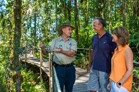 Kuranda Scenic Railway Day Trip From Cairns - Rental Cars 1