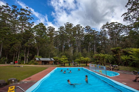 Tahune Airwalk Active Day Trip From Hobart Including Hastings Caves - Rental Cars 0