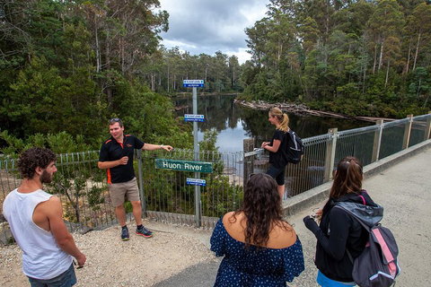 Tahune Airwalk Active Day Trip From Hobart Including Hastings Caves - Rental Cars 1