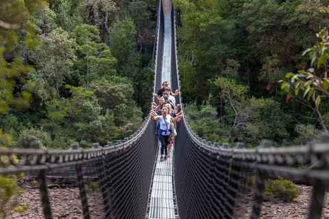 Tahune Airwalk Active Day Trip From Hobart Including Hastings Caves - Rental Cars 3