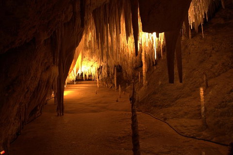 Tahune Airwalk Active Day Trip From Hobart Including Hastings Caves - Rental Cars 4