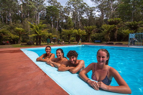 Tahune Airwalk Active Day Trip From Hobart Including Hastings Caves - Rental Cars 5
