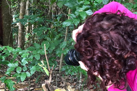 Let's Go Buggin & Let's Go Shroomin - Photography & Nature Walking Tours - Rental Cars 1