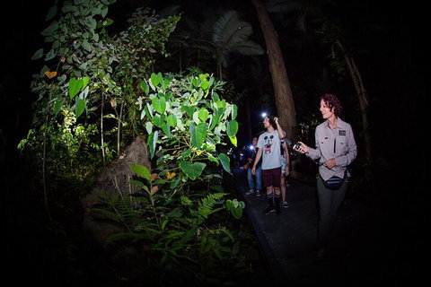 Let's Go Buggin & Let's Go Shroomin - Photography & Nature Walking Tours - Rental Cars 4