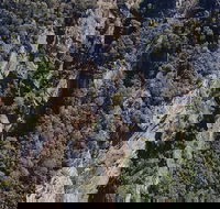 Leven Canyon Day Trip Including Wings Wildlife Park or Gunns Plains Caves - Rental Cars